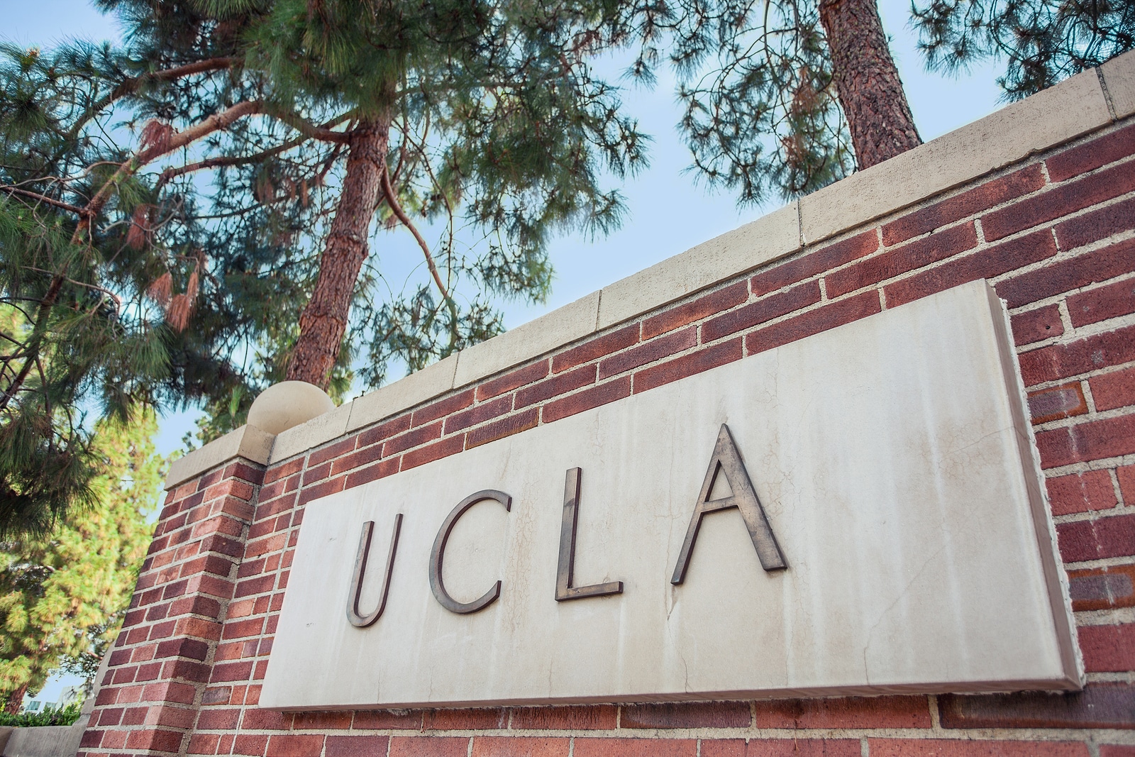 Nonverbal Autism Doesn’t Prevent a Man  to Become a UCLA Student