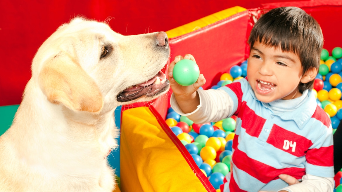 Therapy Dogs Don’t Always Help Children with Autism