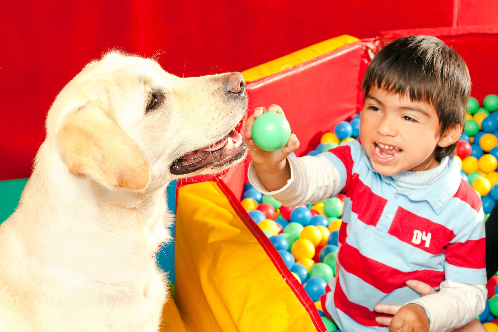 Therapy Dogs Don't Always Help Children with Autism - Nevada Autism Center