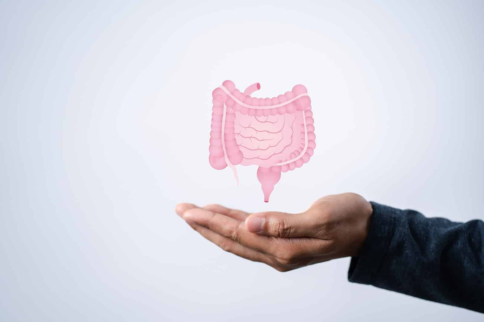 Scientists Identify Connections Between Autism and the Gut Biome