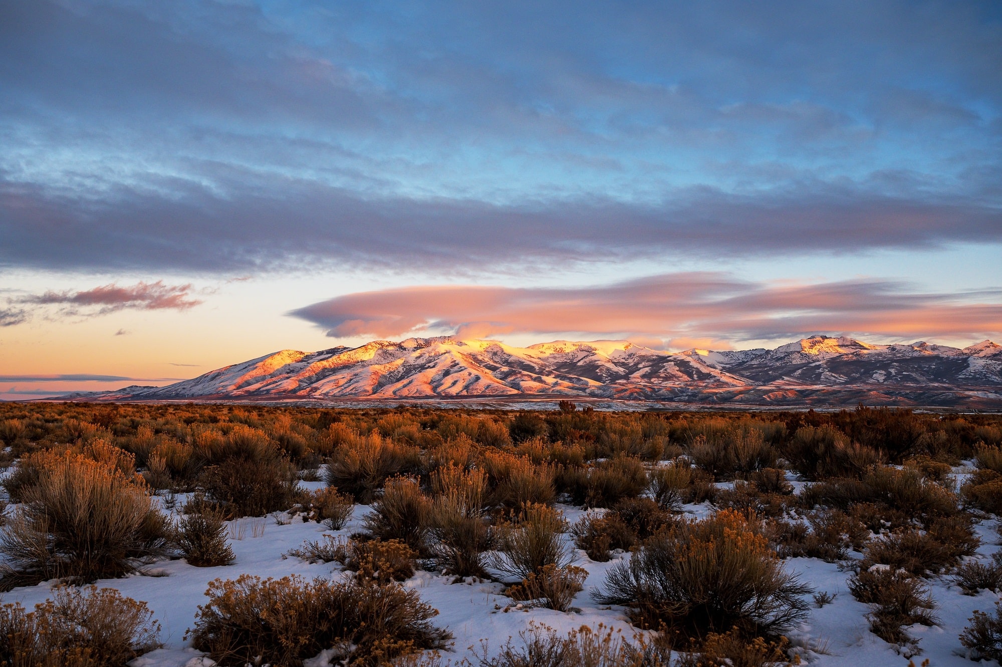 ABA in Nevada vs. ABA in California