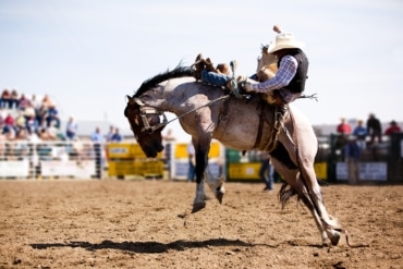 Rodeo autism event