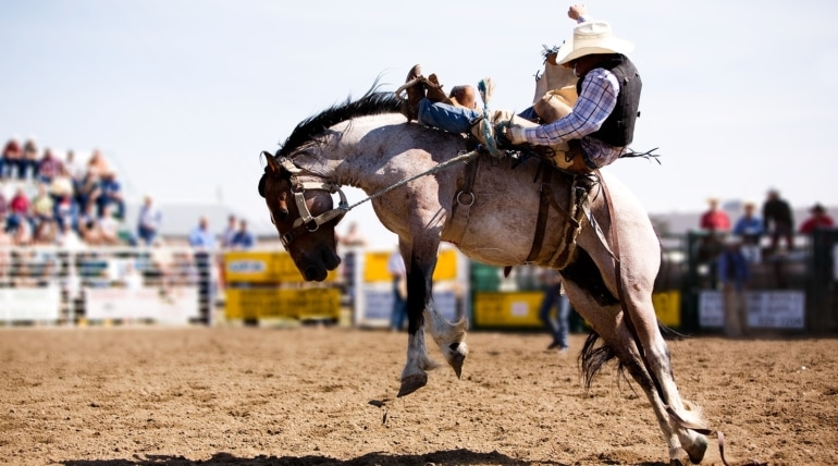 Wrangler National Finals Rodeo Contestants Attend Autism Charity Event