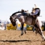 Wrangler National Finals Rodeo Contestants Attend Autism Charity Event