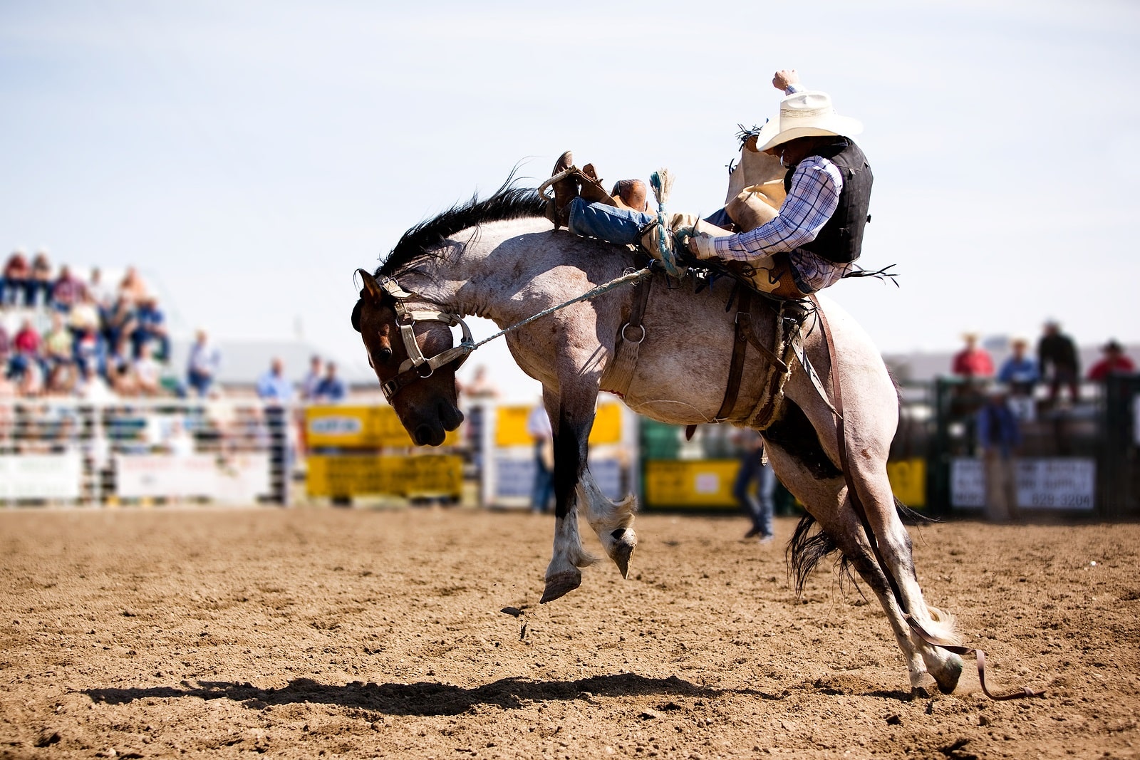 Wrangler National Finals Rodeo Contestants Attend Autism Charity Event