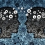 New Study Shows How a Rare Genetic Error Disrupts Brain Development in Autism