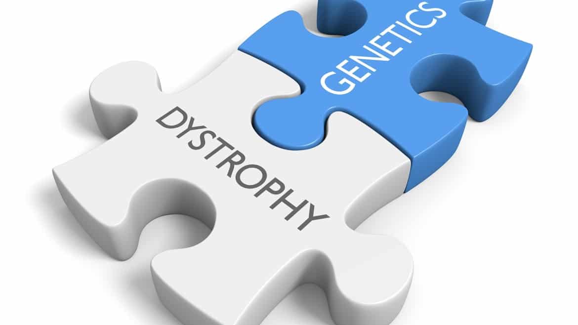 Researchers Study How DM1 and ASD Could be Linked