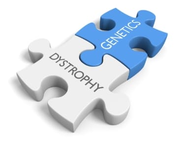 Muscular dystrophy and ASD
