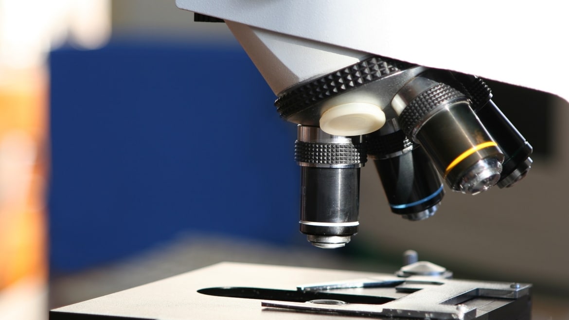 ‘Landmark study’ led by UNLV shows new path to treat, prevent autism