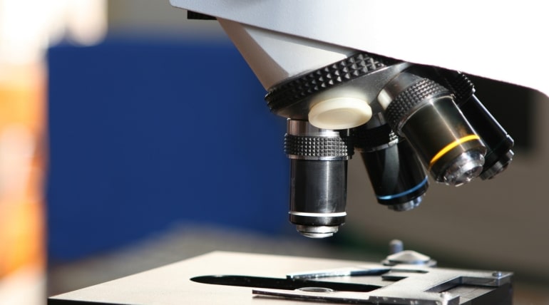 ‘Landmark study’ led by UNLV shows new path to treat, prevent autism