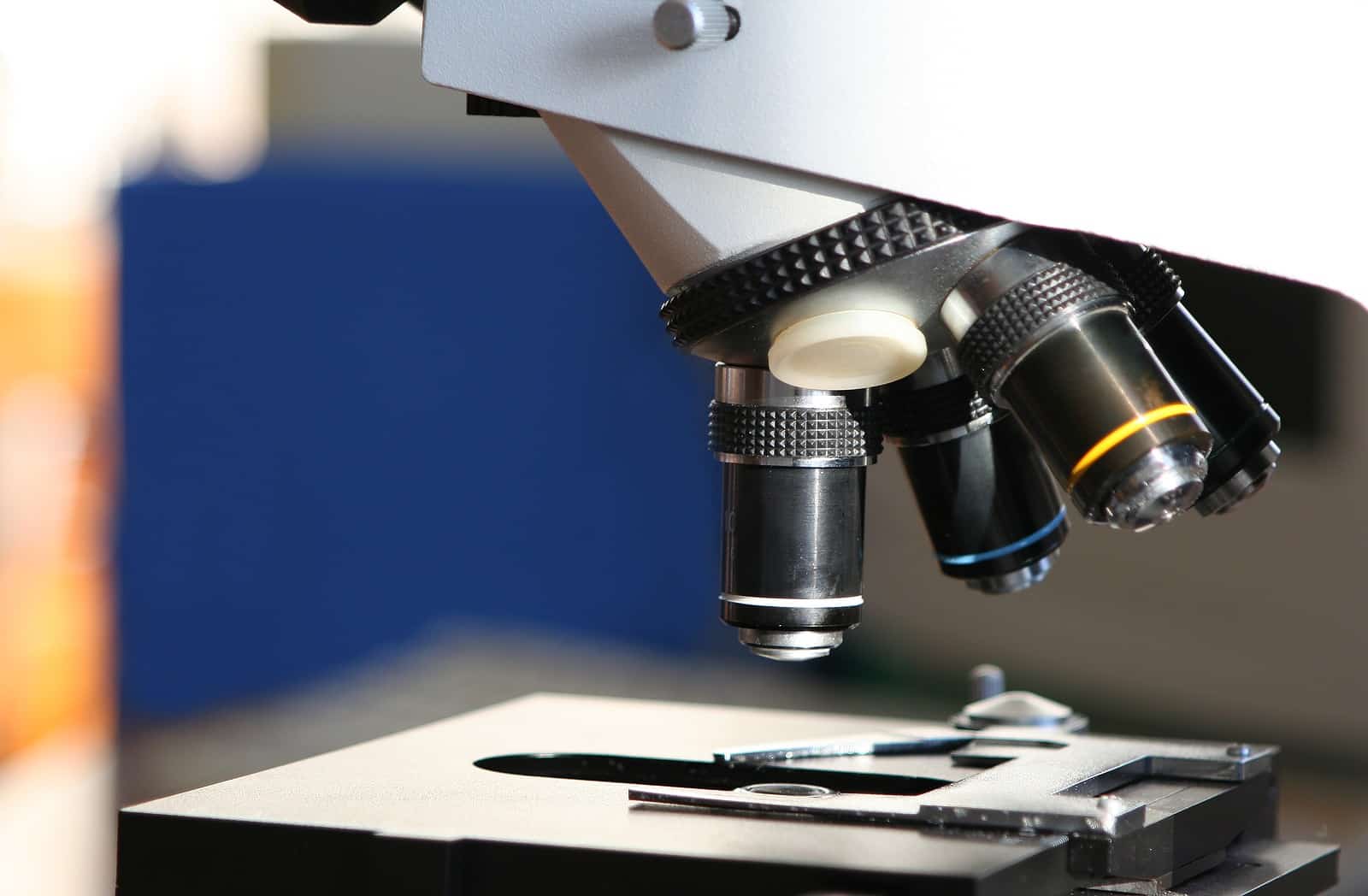 ‘Landmark study’ led by UNLV shows new path to treat, prevent autism