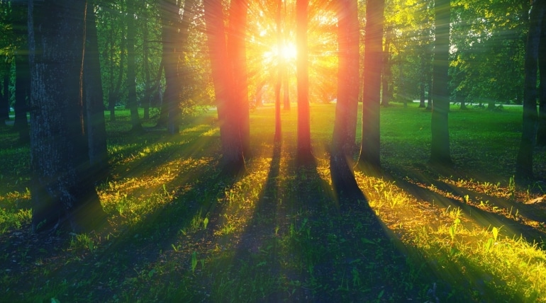 Expert Tips for Planning an Autism-Friendly Summer