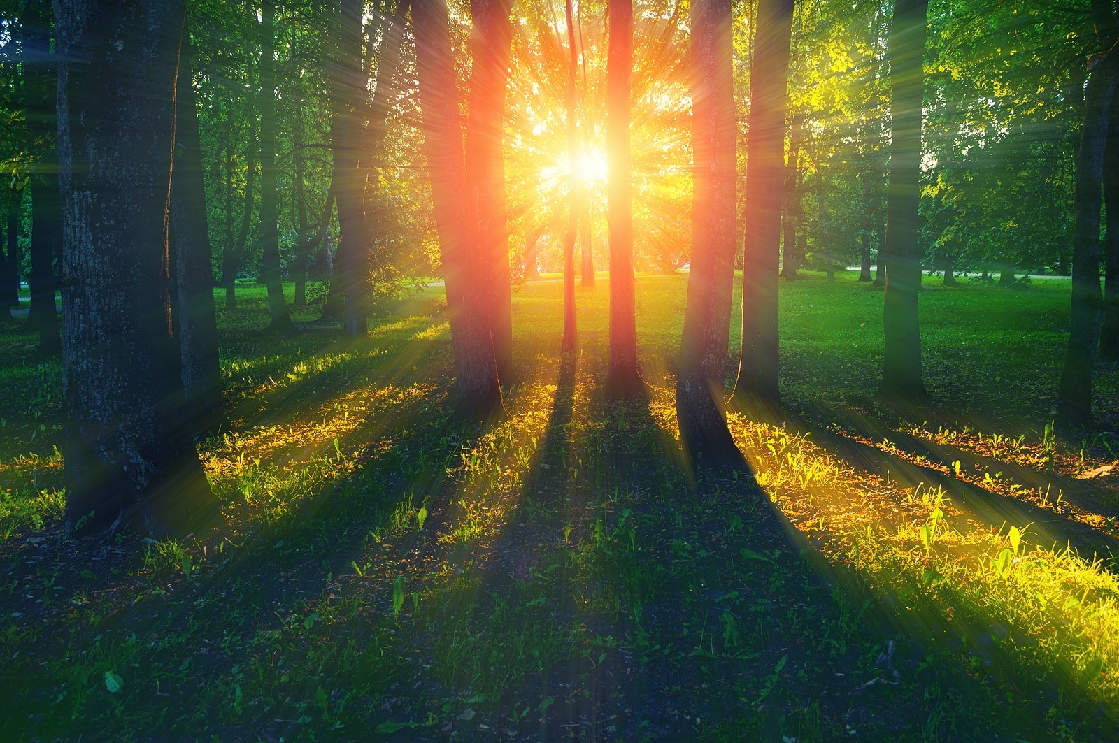 Expert Tips for Planning an Autism-Friendly Summer