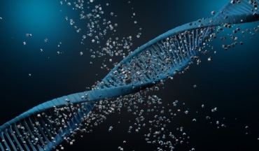 Autism genes