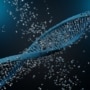 Do Faulty Gene Expressions Contribute to Autism?