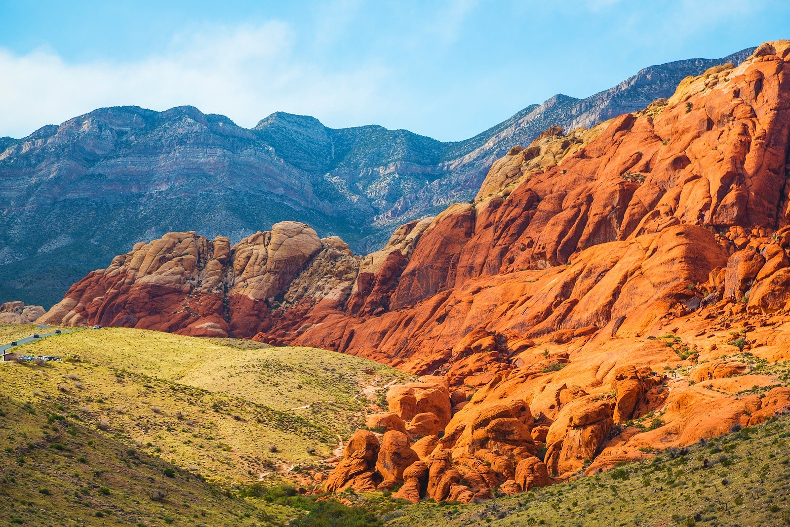 Will the Big Beautiful Bill Impact Funding for NV’s Autistic Community?