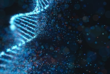 Autism genetics