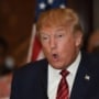 Trump, Autism, and Moms Caught in the Middle