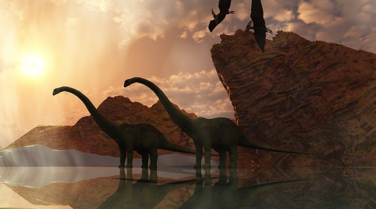 The Dinosaur Outpost is Now a Certified Autism Center