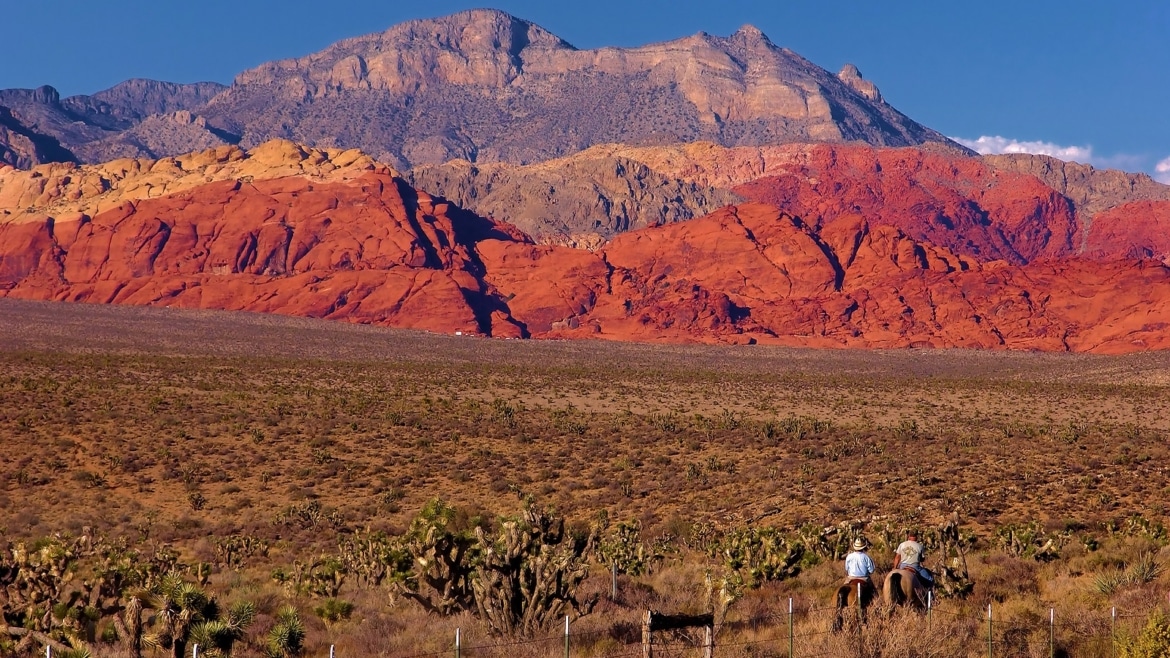 Costs Soar for Nevada Home for Autistic Girls, Families Left Waiting
