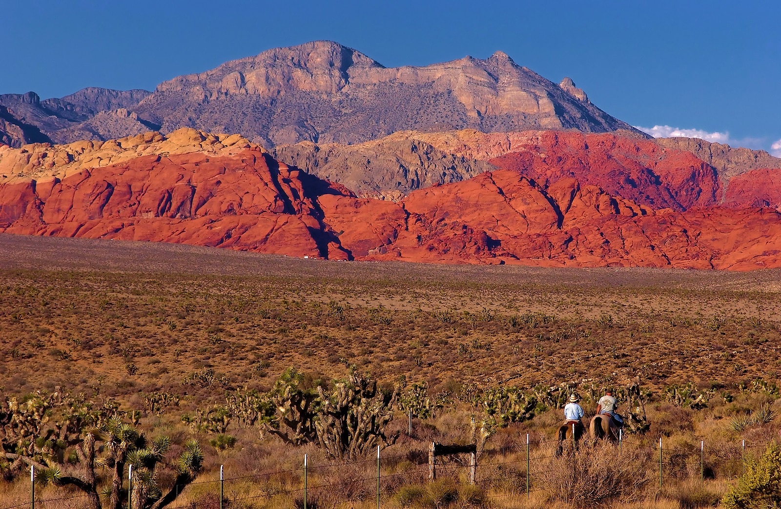 Costs Soar for Nevada Home for Autistic Girls, Families Left Waiting
