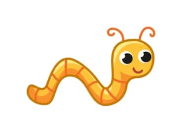 pet worm