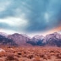 New Book Puts an Autistic Man at the Heart of the 1840s Sierra Nevada