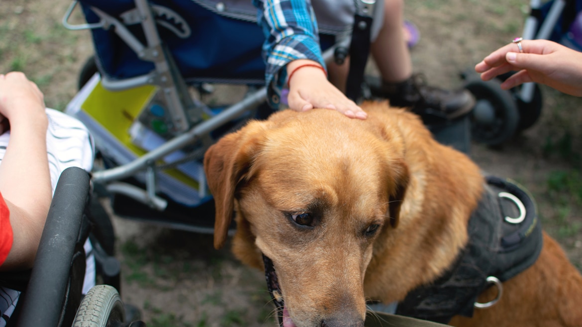 Therapy Dogs Help Autistic Children Face Medical and School Challenges