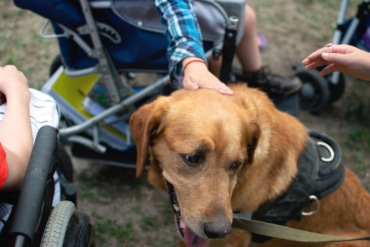 Autism therapy dog in Las Vegas