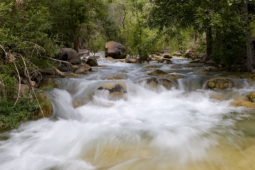 Autistic boy rescued from creek