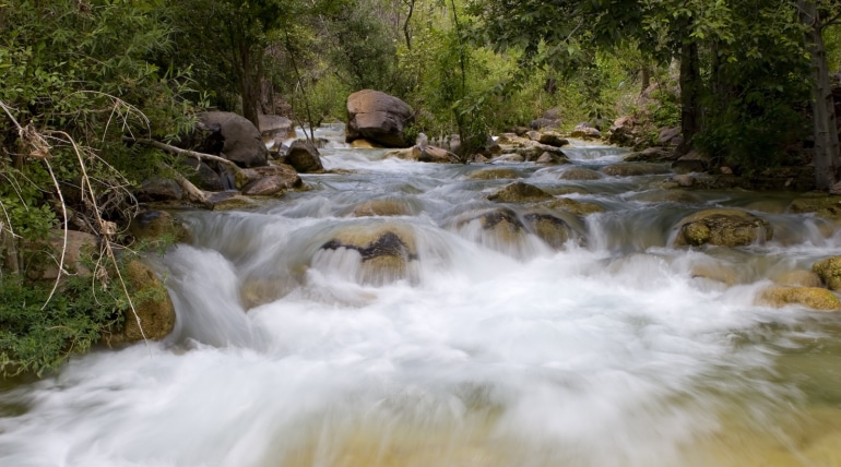 College Student Rescues 3-Year-Old Autistic Boy from Fast-Moving Creek