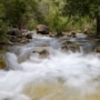 College Student Rescues 3-Year-Old Autistic Boy from Fast-Moving Creek