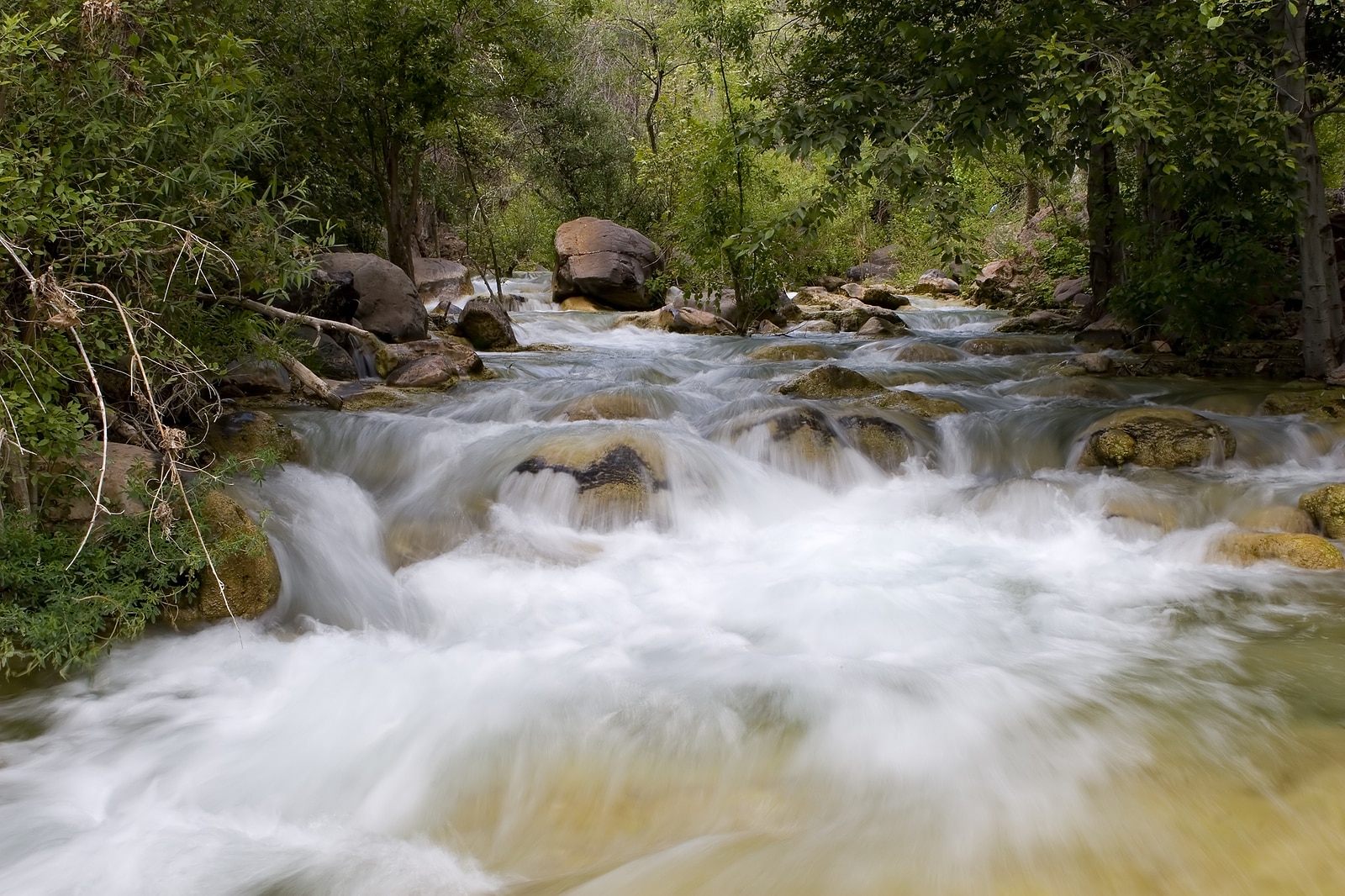 College Student Rescues 3-Year-Old Autistic Boy from Fast-Moving Creek